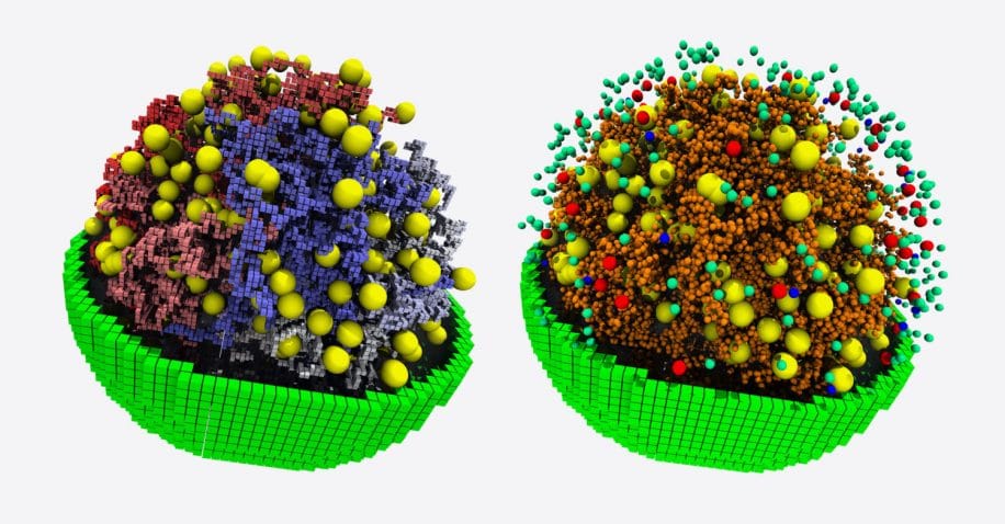 simulation cellule minimale