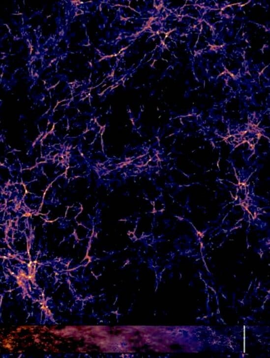 simulation univers primitif