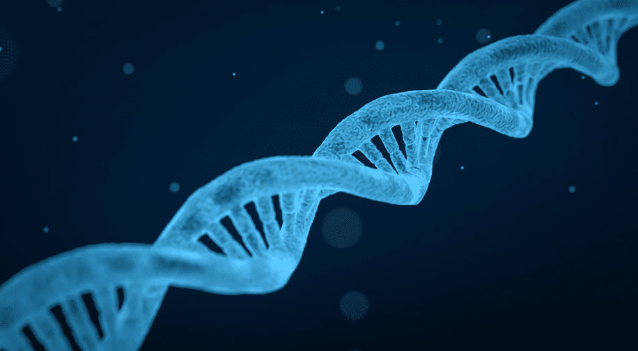 test unique permettra depister 50 maladies genetiques diminuer delai diagnostic