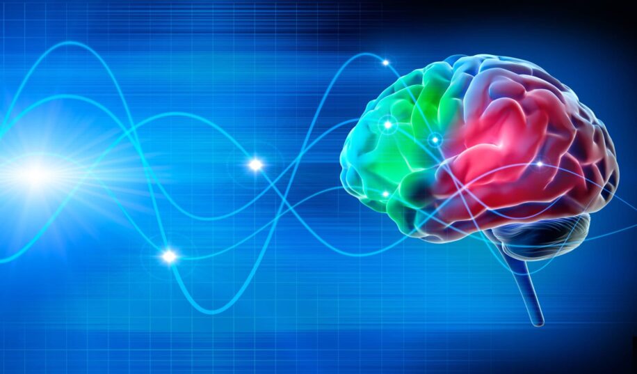 alzheimer ondes telephone portable demence precoce