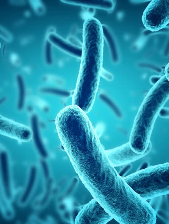 bacteries cancer prostate agressif depistage taitement couv