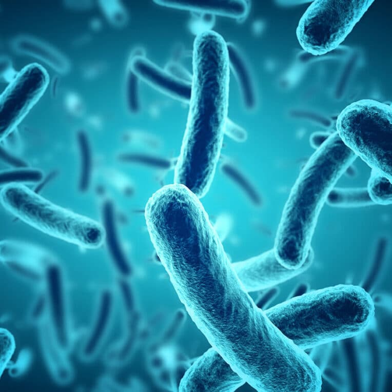 bacteries cancer prostate agressif depistage taitement couv