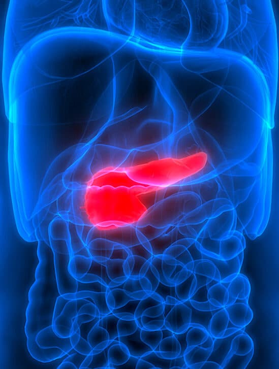 cancer pancreas intelligence artificielle detecter signes maladie