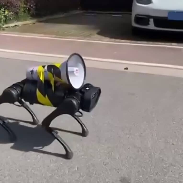 chine chiens robots aboient instructions sanitaires