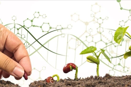 crispr edition genome nouvelles especes changement climatique couv