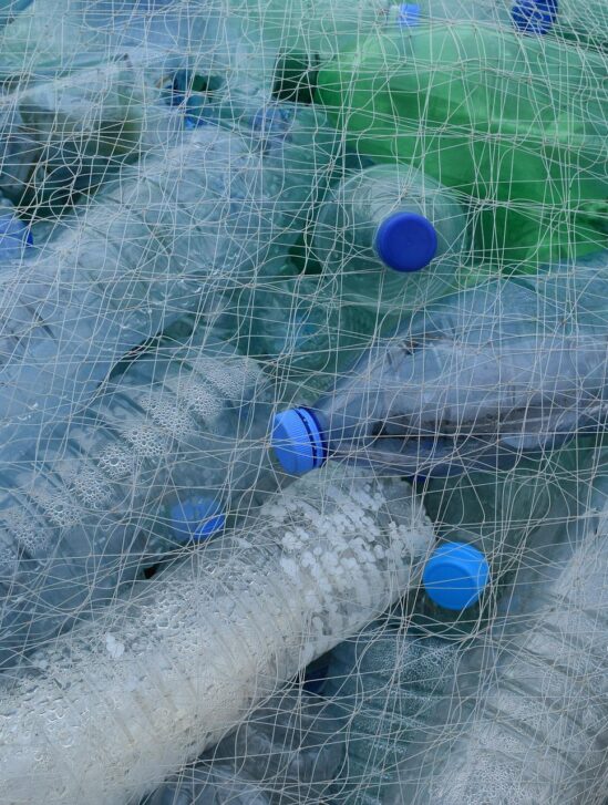 enzyme dégrade plastique en 24 heures