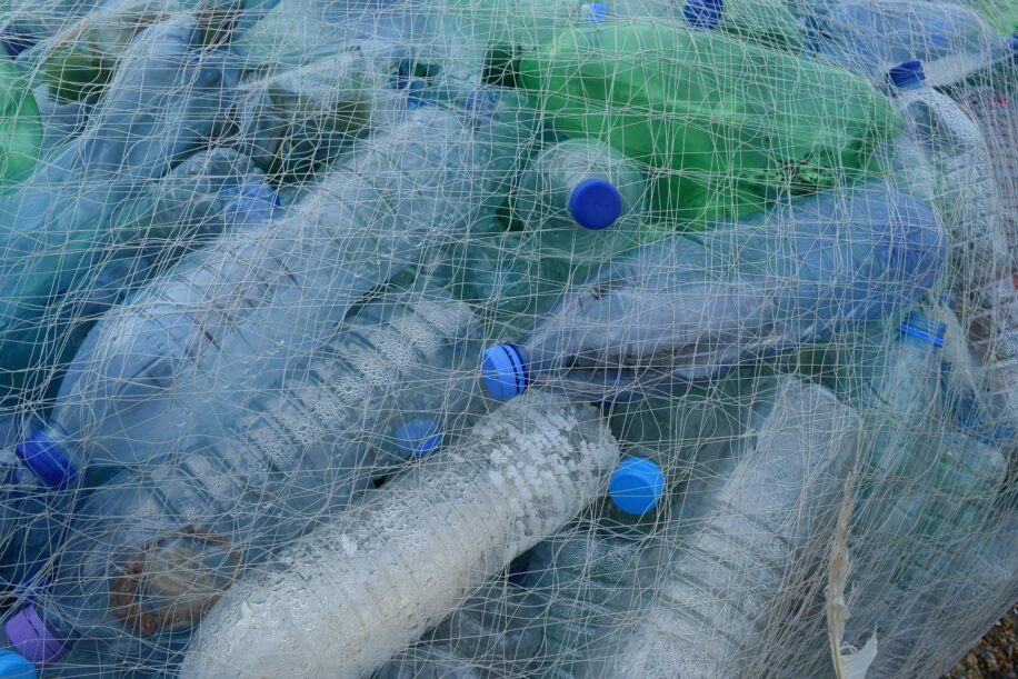 enzyme dégrade plastique en 24 heures