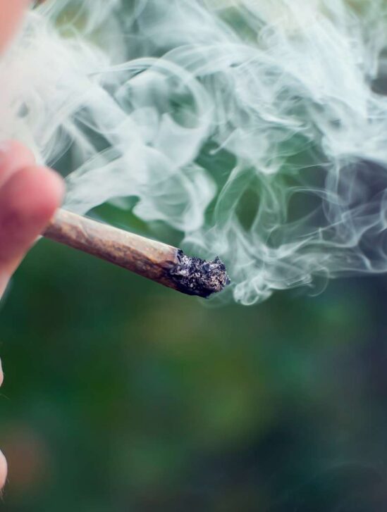 marijuana cannabis vieillissement accelere precoce couv