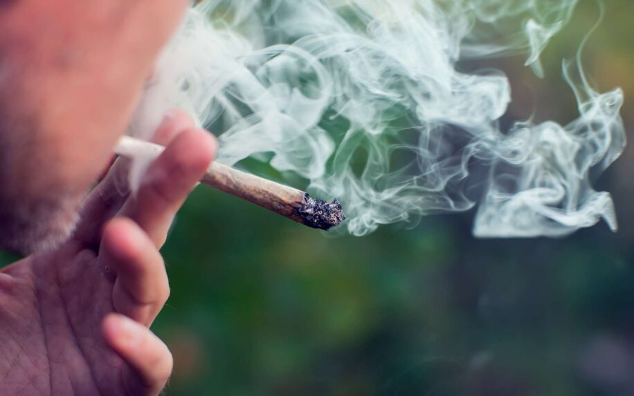 marijuana cannabis vieillissement accelere precoce couv
