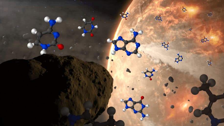 météorites bases nucléiques ADN