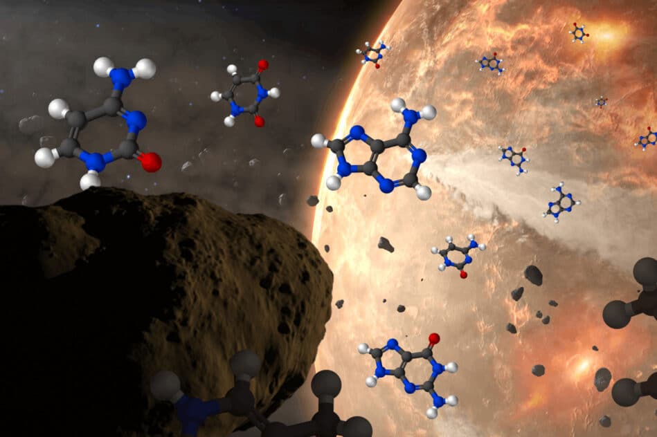 météorites bases nucléiques ADN