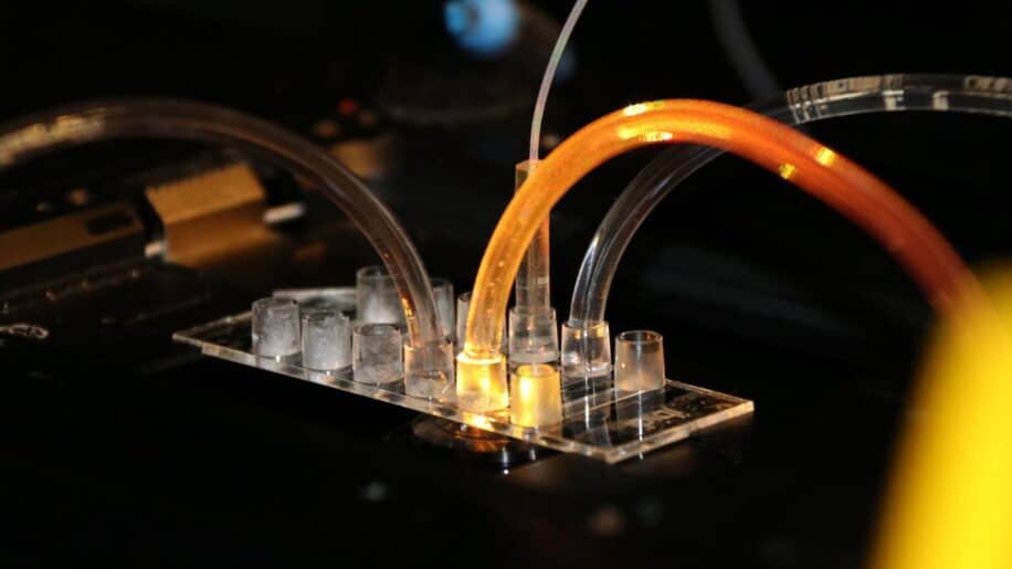 nanotechnologie adn criblage haut debit rapide vaccin couv