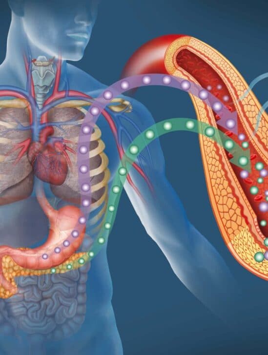 traitement diabete type 2 ultrasons bioelectronique couv