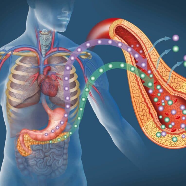 traitement diabete type 2 ultrasons bioelectronique couv