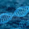 ADN mutation effet tunnel
