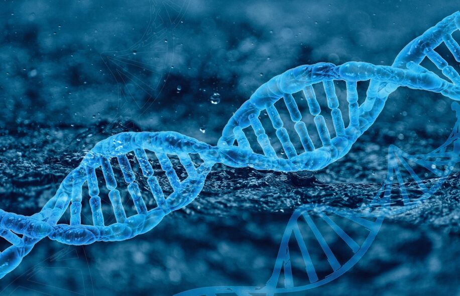 ADN mutation effet tunnel