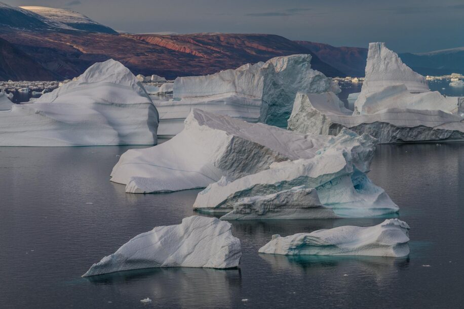 Snow eagle lac antarctique