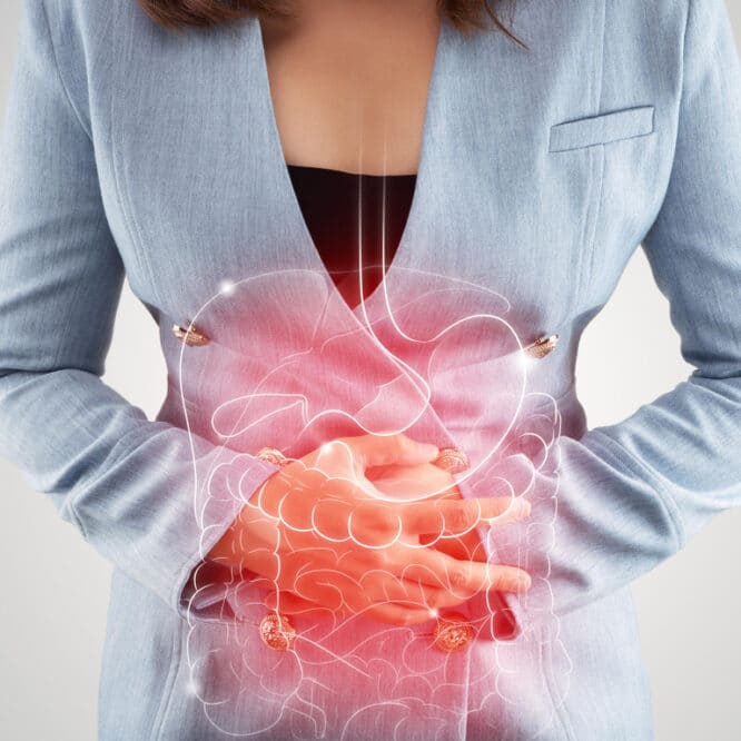 cellules ec cause intestin irritable