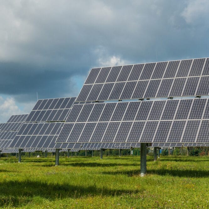 cellules solaires couche mince non toxiques