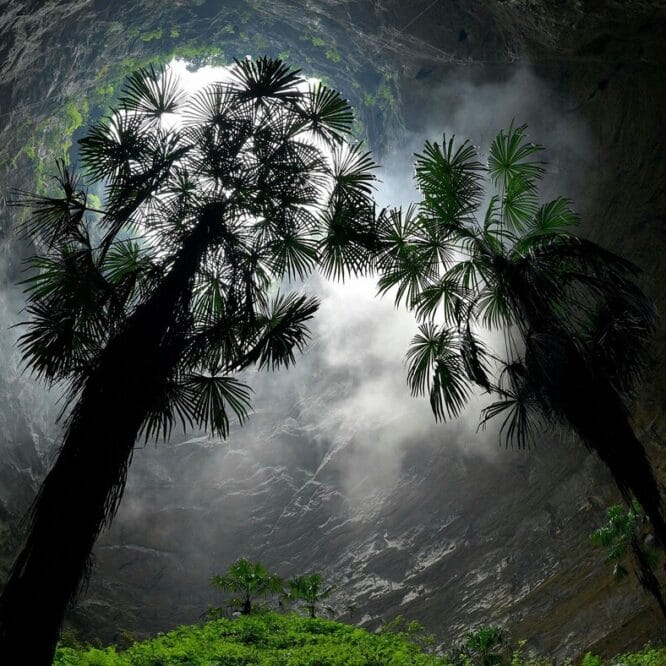 chine decouverte gouffre geant foret primitive