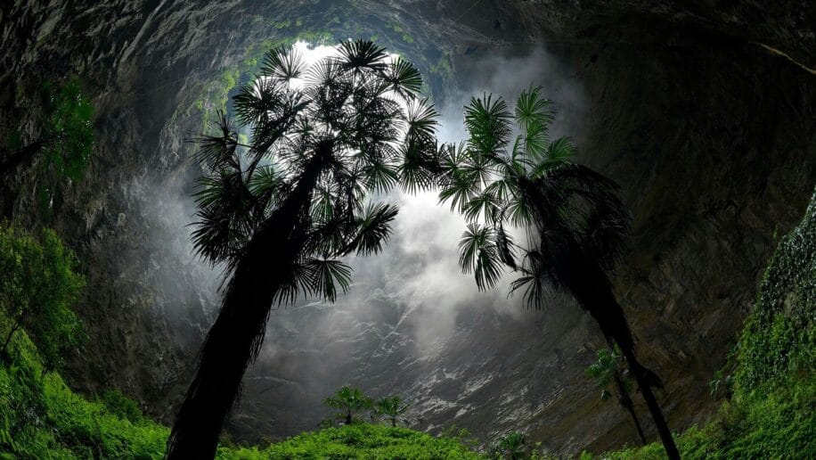chine decouverte gouffre geant foret primitive