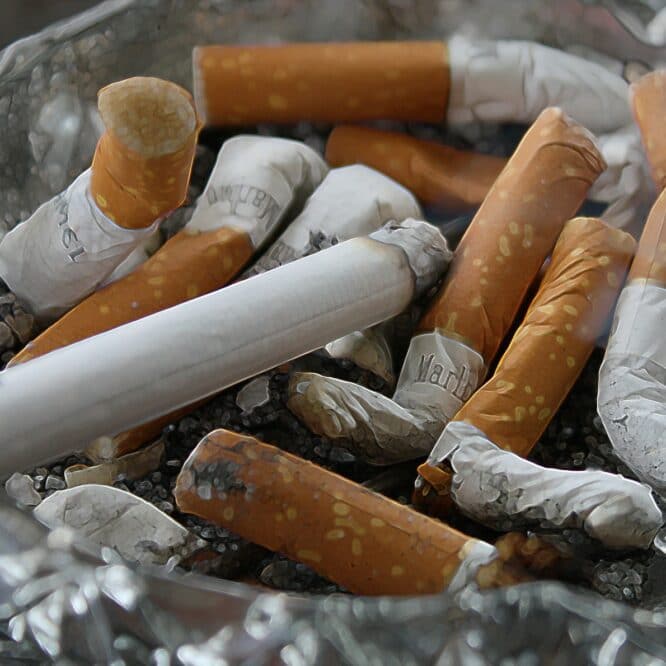 grands fumeurs jamais cancer poumon