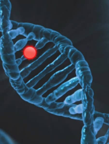 inversion effets mutations autisme
