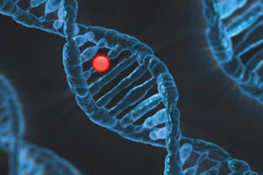 inversion effets mutations autisme