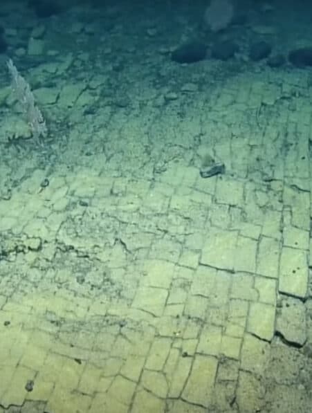 nautilus route pavée fond océan