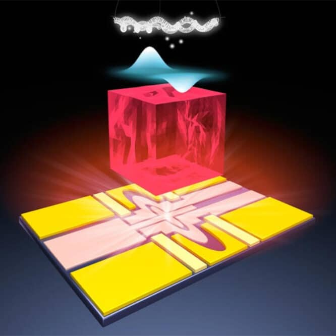 plateforme qubits électron unique néon