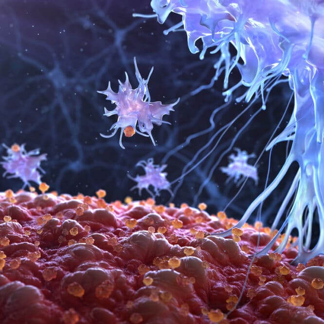 virus tueur cancer essai clinique