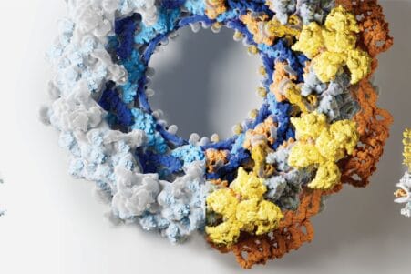 IA decode structure compexe pore nucleaire cellule couv