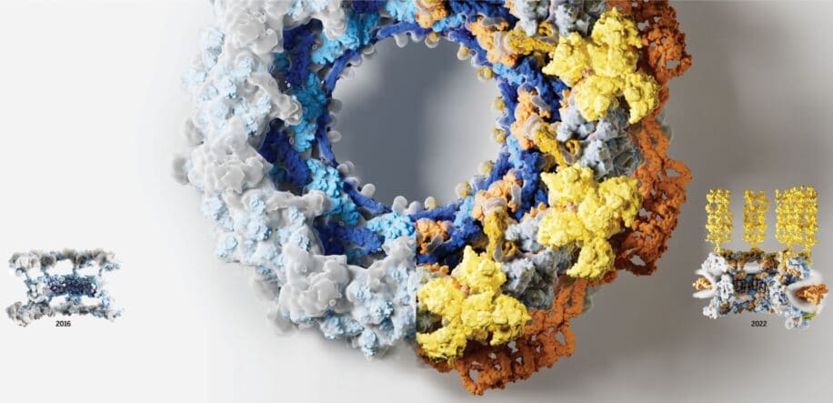 IA decode structure compexe pore nucleaire cellule couv
