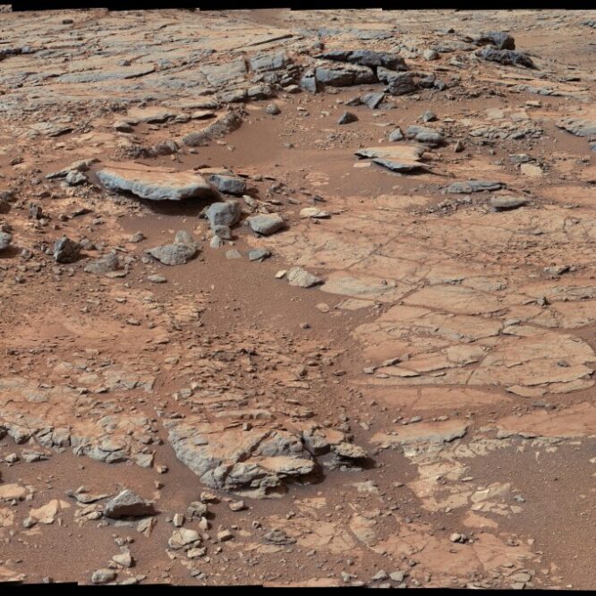 carbone organique vie sur Mars