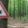 comment se proteger au mieux des tiques couv