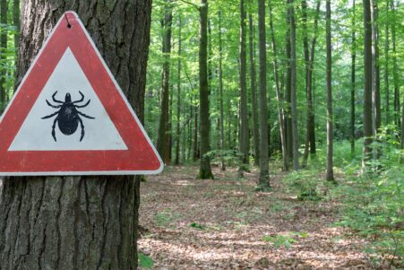 comment se proteger au mieux des tiques couv