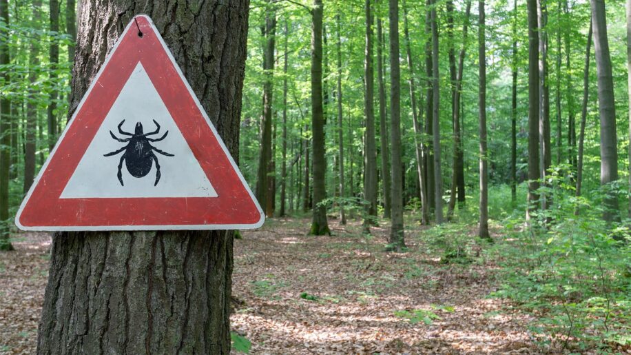comment se proteger au mieux des tiques couv