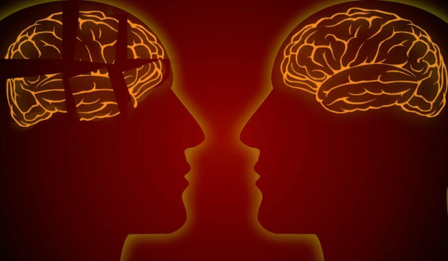 découverte alzheimer artères cerveau