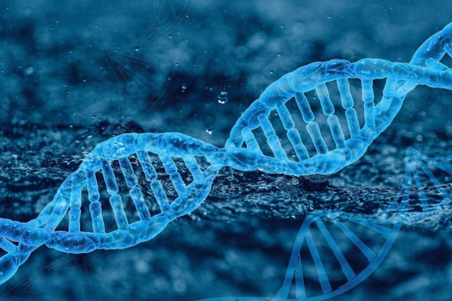 gene implique paraplegie motoneurones lipides cellules nerveuses couv