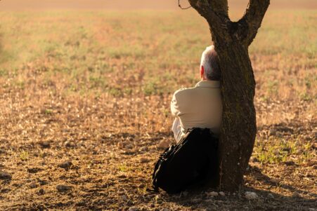 isolement social cognition démence