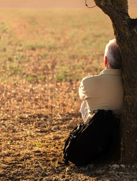 isolement social cognition démence