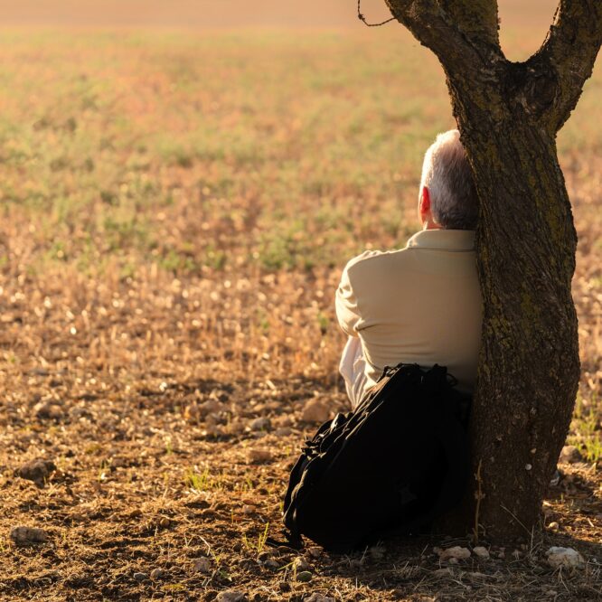 isolement social cognition démence