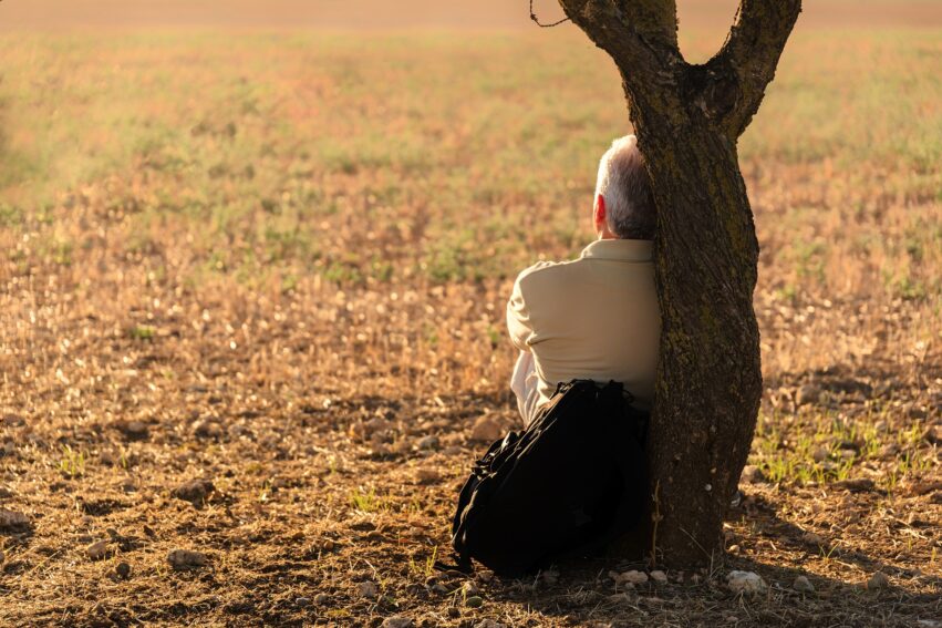 isolement social cognition démence