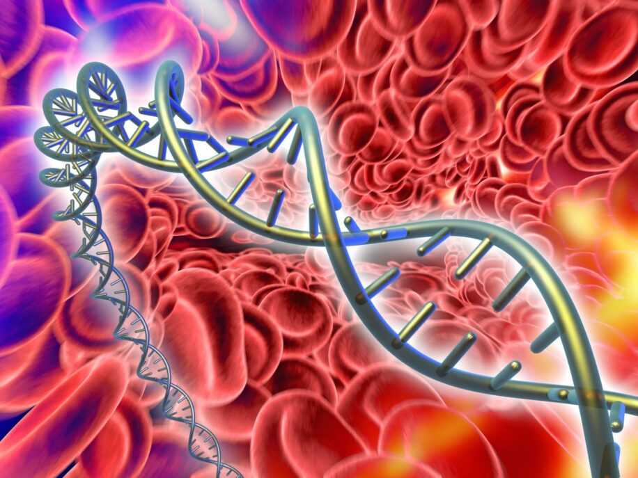 maladie du sang crispr therapie genique traitement curatif phase 3