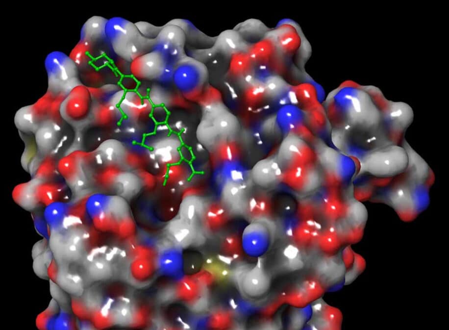 molecule tueuse cancer du sein