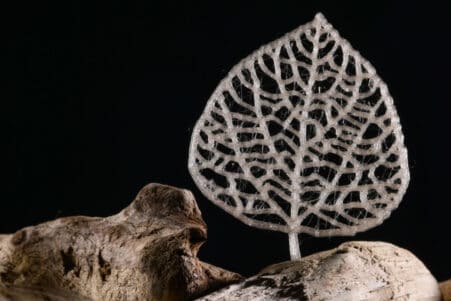 plastique végétal résistant recyclable biodégradable