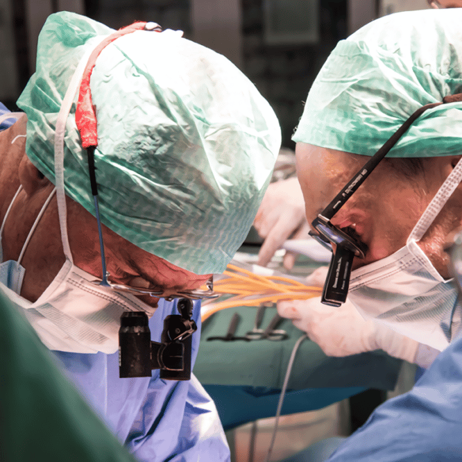premiere mondiale transplantation foie humain