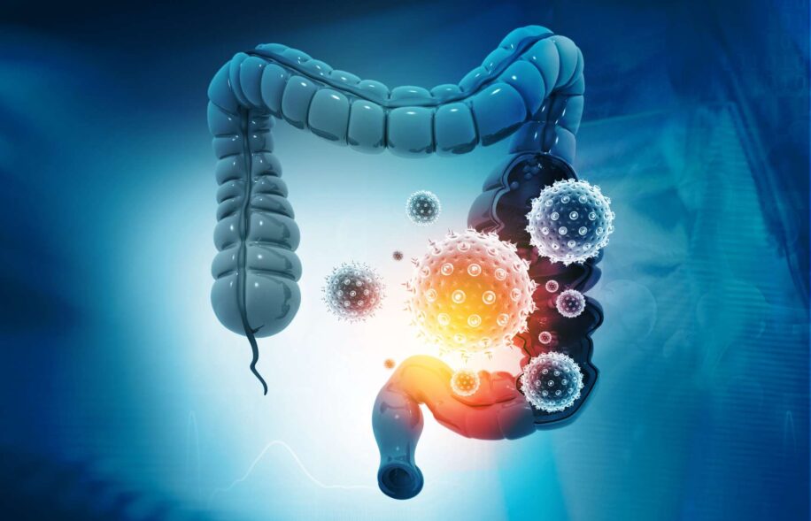 reservoirs intestin coronavirus responsables covid long