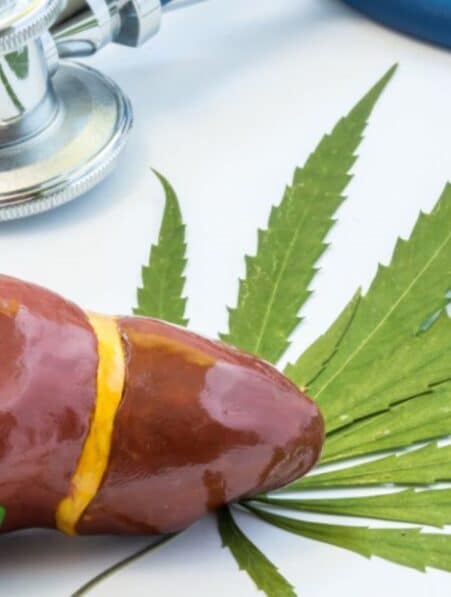 risque cancer foie reduit consommation cannabis couv