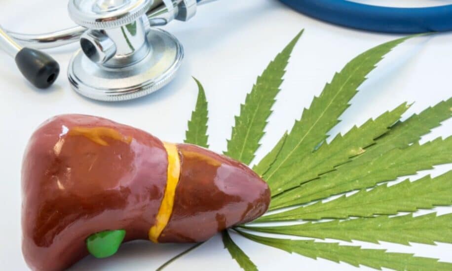 risque cancer foie reduit consommation cannabis couv